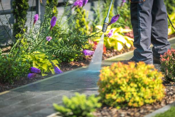 Best Pool Deck Cleaning in Leesburg, GA